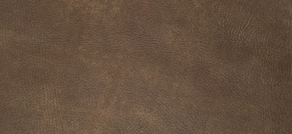Outback