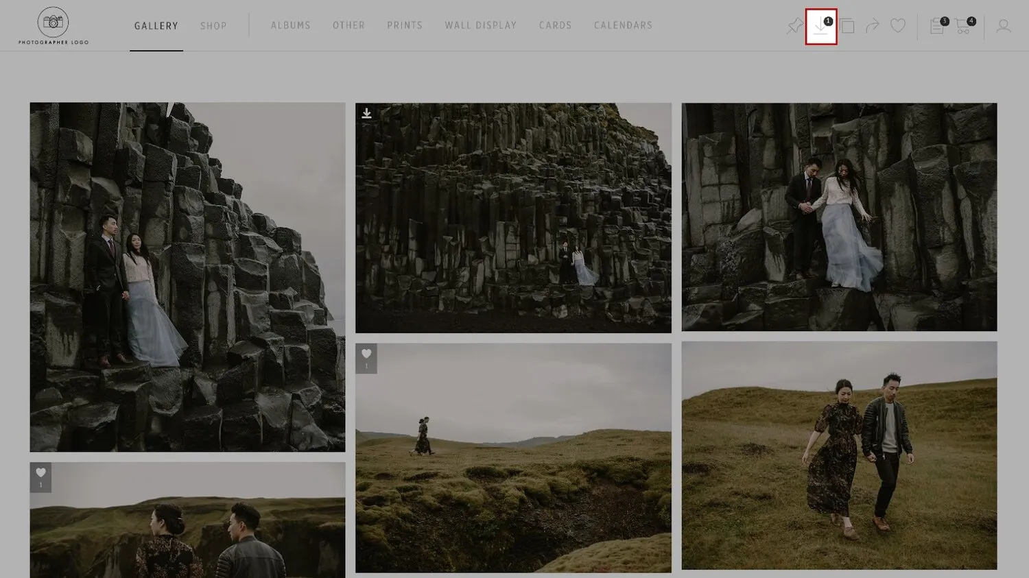 Pic-Time gallery screenshot showing the download button in the top-right corner.